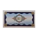 پشت سکه پارسیان پایتخت